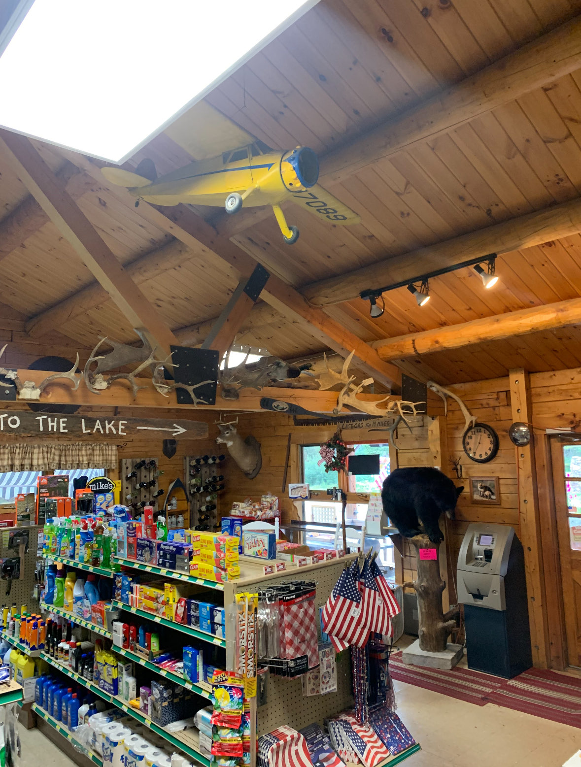 Inside the store with model plane, bear, and antler mounts
